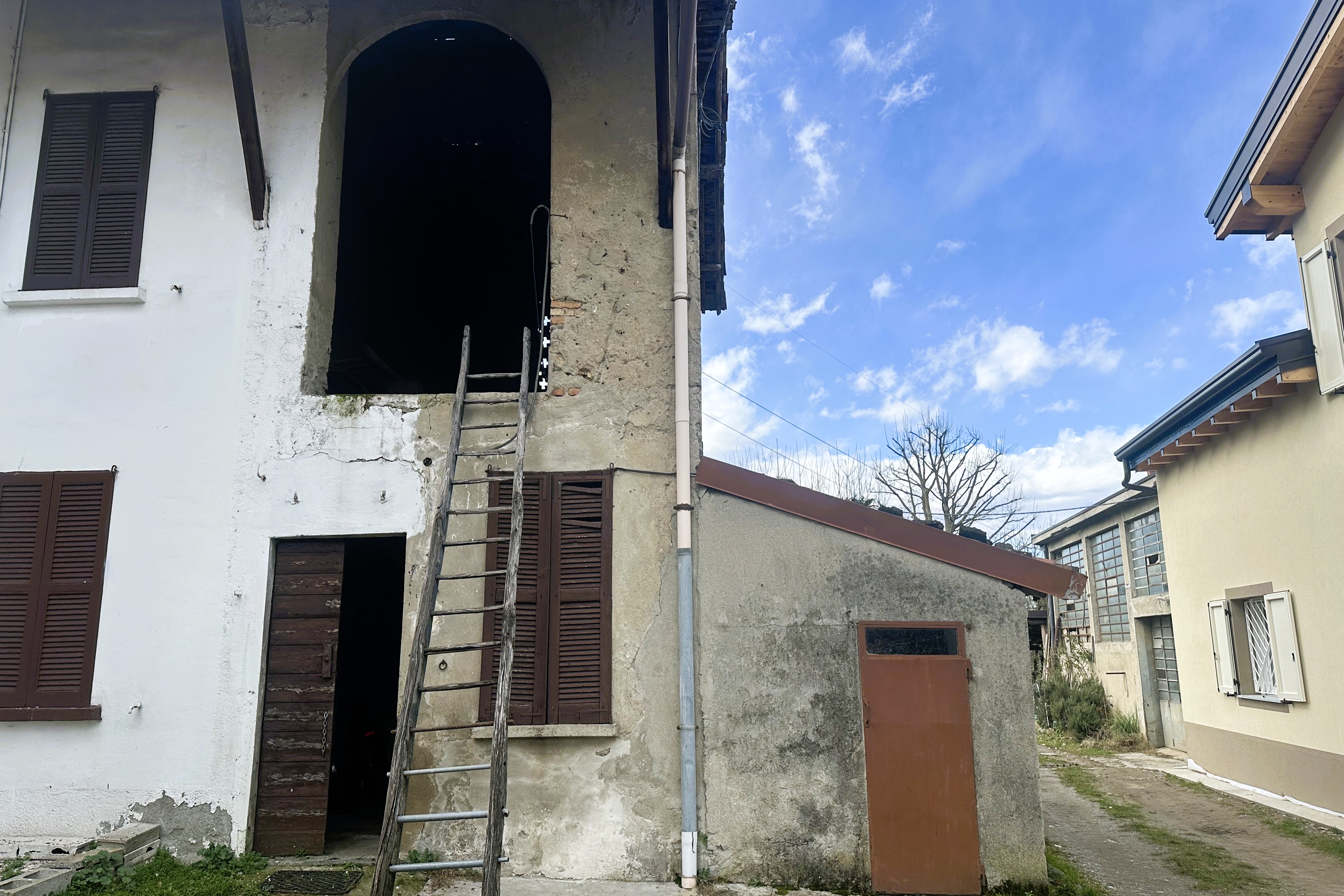 Immagine di copertina